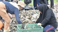 BAKTI SOSIAL: BEM KM UTM bersih-bersih tepi pantai Pelabuhan Timur Kamal. (K-TV/Hairul Umam)