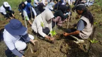 PEDULI LINGKUNGAN: Para relawan menanam bibit mangrove. (K-TV/Sufi Binti Khofifah)