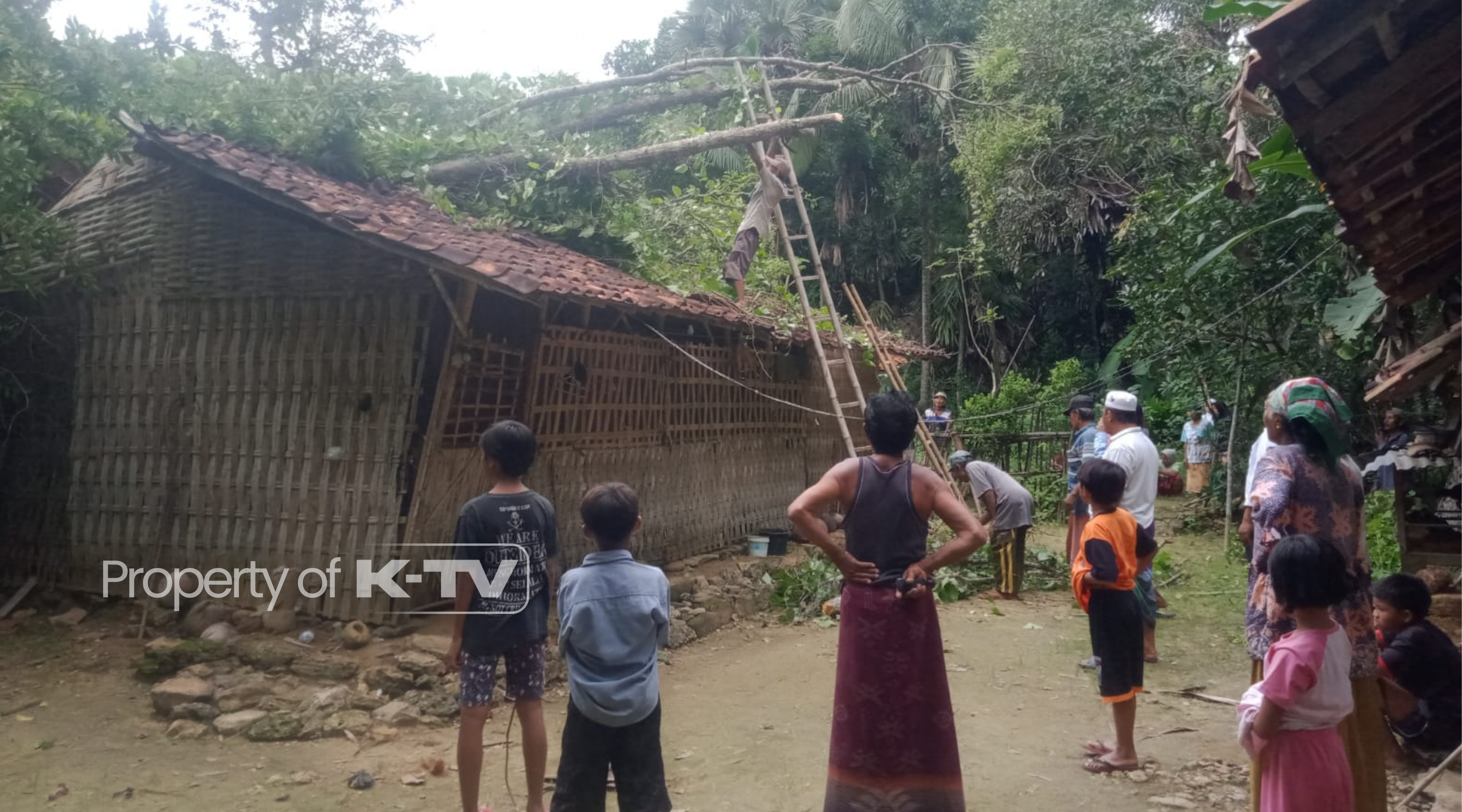 NASIB MALANG: Rumah wrga di Desa Kertagena Laok, tertimpa pohon tumbang. (K-TV/Sitti Romlah)