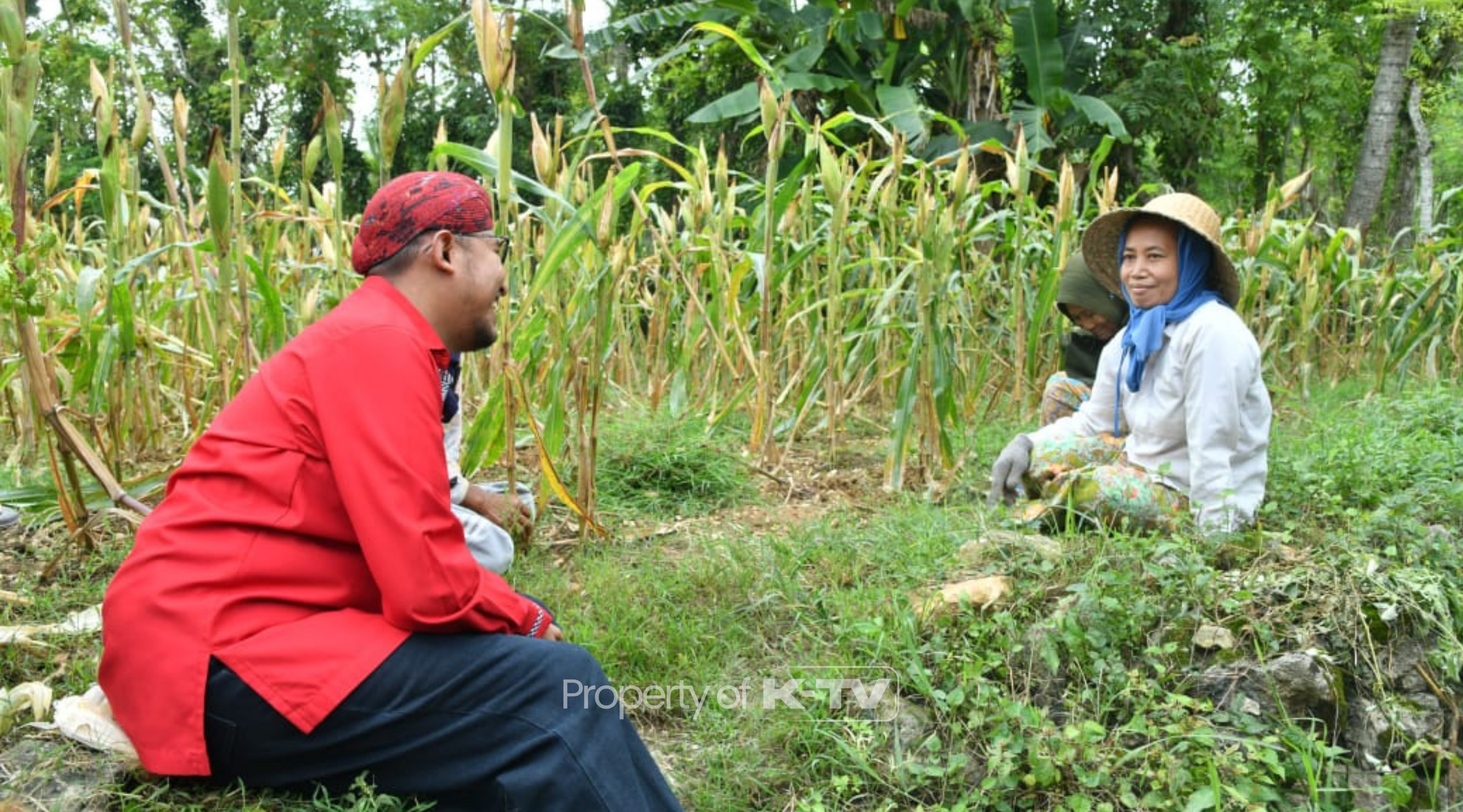 BERMANFAAT: Ribuan petani tembakau mendapatkan asuransi ketenagakerjaan gratis.(K-TV/Taufiq Hidayat)