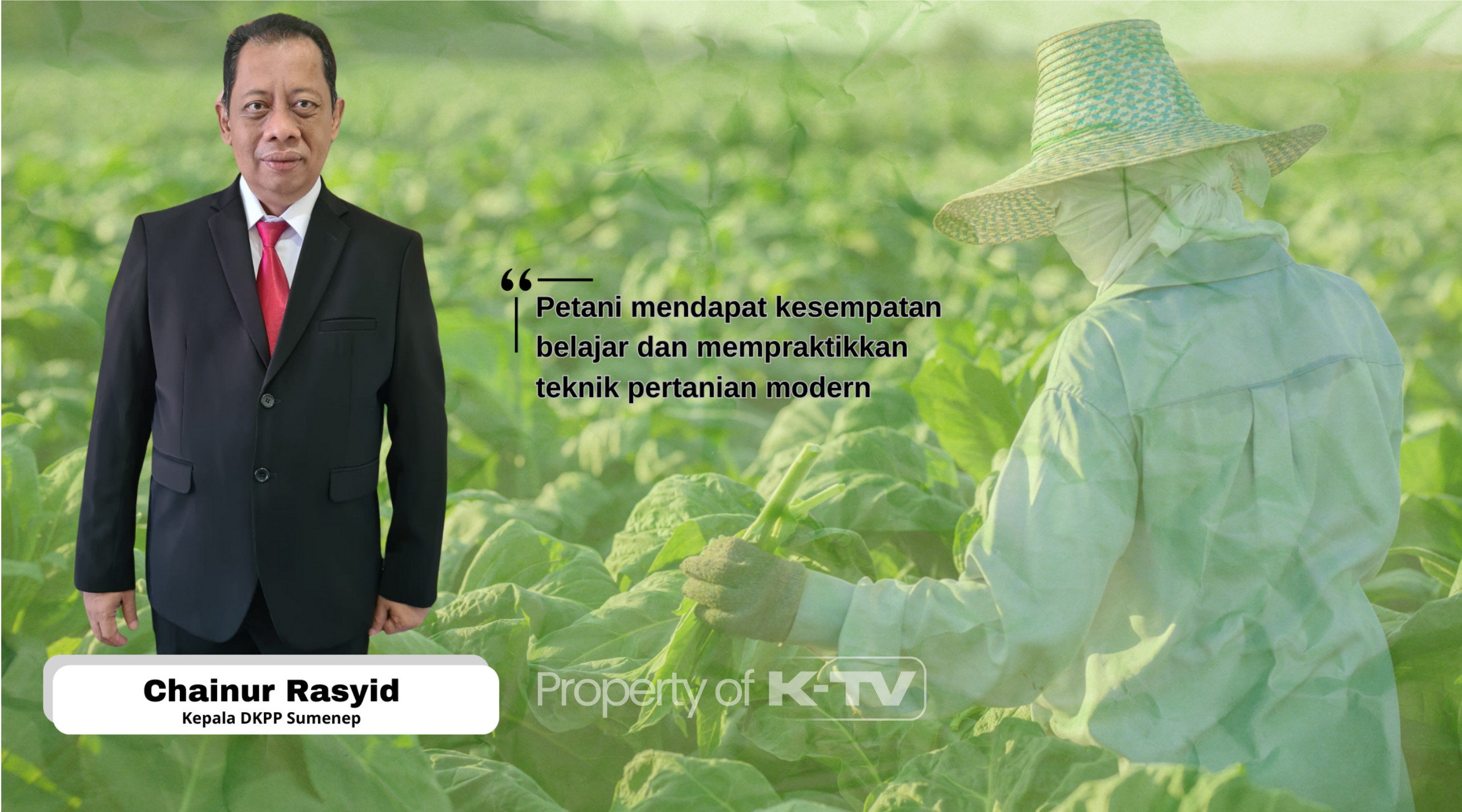 LANGKAH BAGUS: DKPP Sumenep sangat peduli terhadap petani tembakau, yang dibuktikan via Program 'Sekolah Lapang'( Taufiq Hidayat)